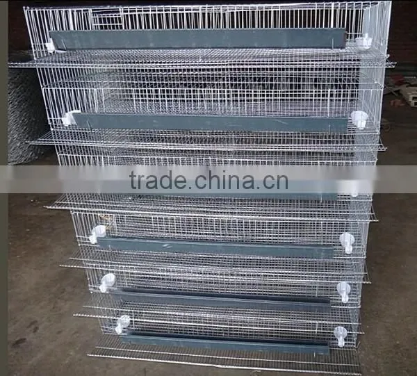 Layer Quail Cages For Sale From Direct Factory