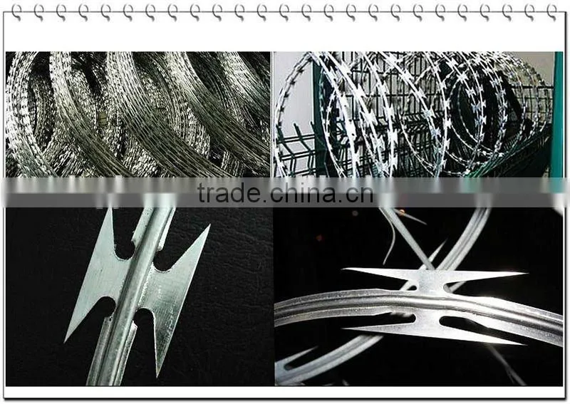 single type razor barbed wire mesh