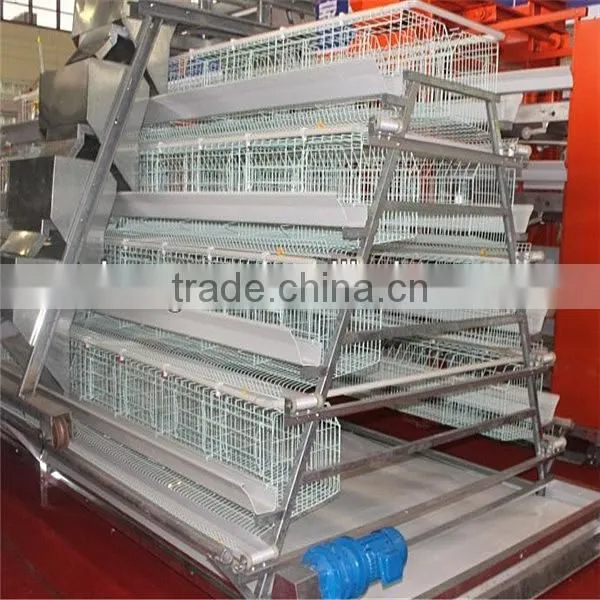 Full automatic commercial poultry equipment for best sale