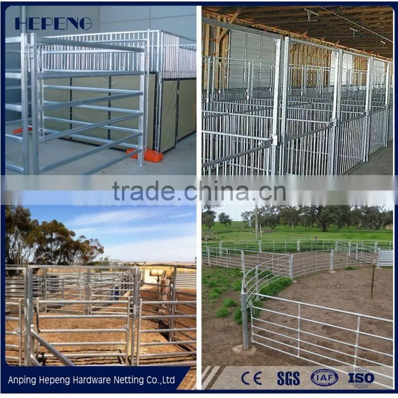 Chinese Steel Cattle Panels
