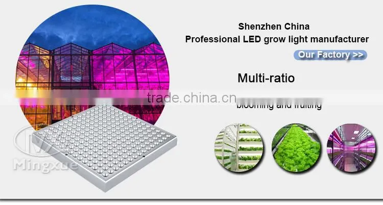 Commercial Grow Hydroponics System 45W Led Grow Light, Hydroponic Led Grow Light For Vegetable