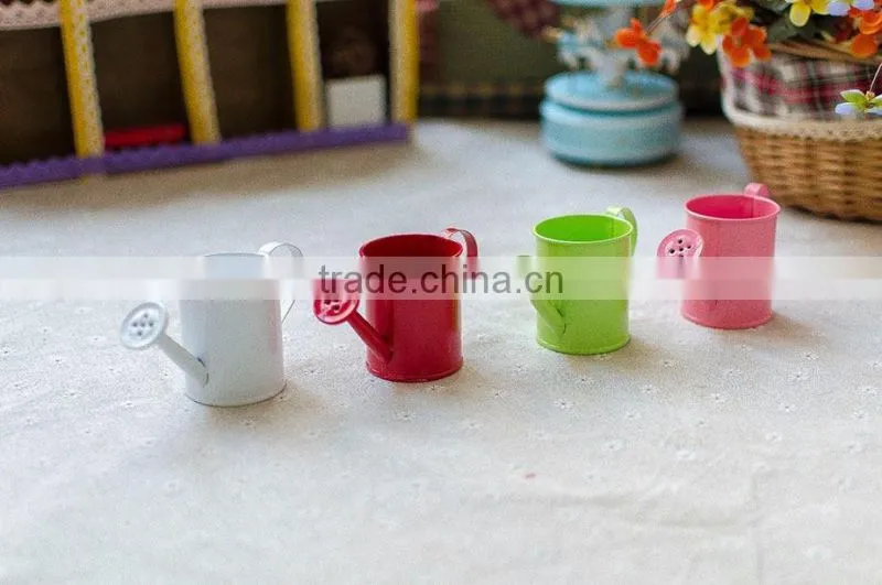 cheap small indoor 2 or 2.5 inches white metal flower watering can mini planter for succulents