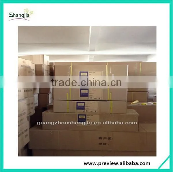 CHY060911 Guangzhou shengjie high quality bonsai for landscape