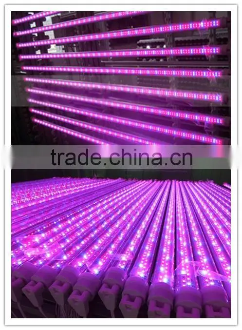 2016 Hot design 15w t8 with fixture high power led grow light indoor grow light
