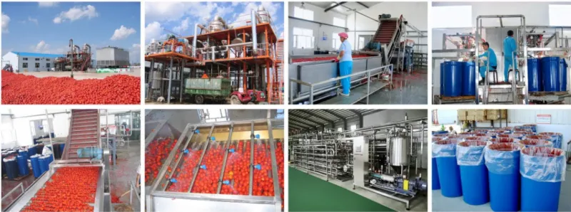Shanghai Factory Tomato Paste Production Plant Ketchup Making Machine/ Tomato Sauce Fruit Jam Processing Line