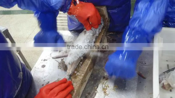 Frozen IQF Spanish Mackerel Fillet IQF Scomberomorus Niphonius King Fish Fillet