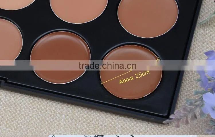 Cosmetic makeup 10 colors liquid license plate nipple gun cable scar concealers