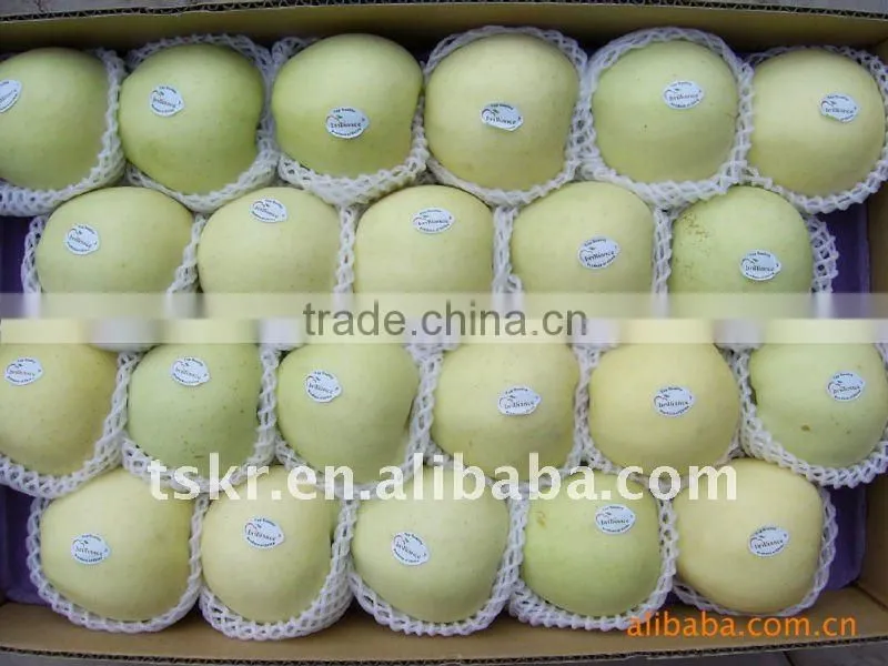 royal Chinese delicious juicy apples in 2011