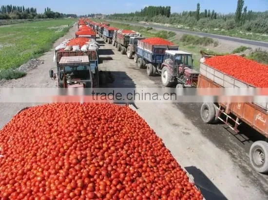 fruit juice production line