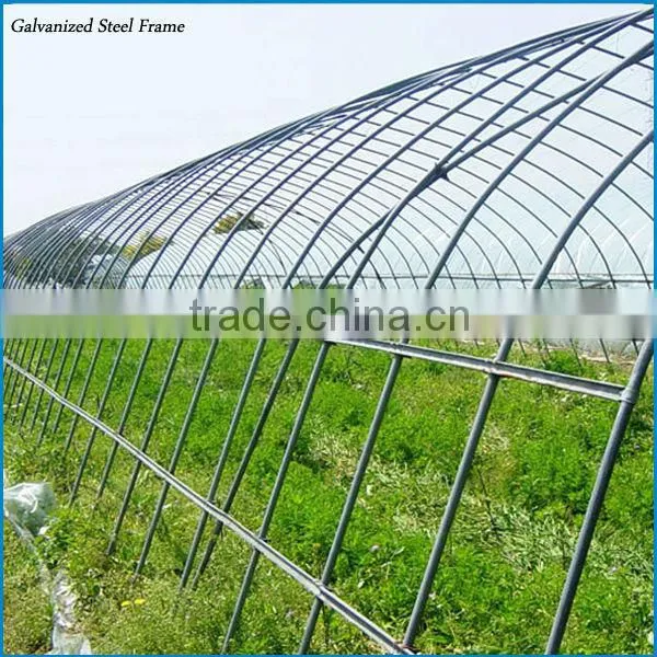 polycarbonate roof sheet greenhouse
