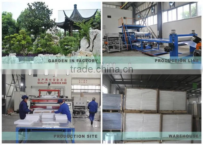 Transparent rigid PVC sheets with 2 sides PE masking