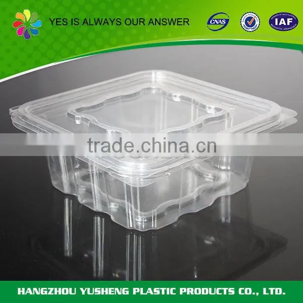 Customized unique shape clamshell packaging