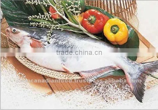 High Quality Vietnam Whole Catfish
