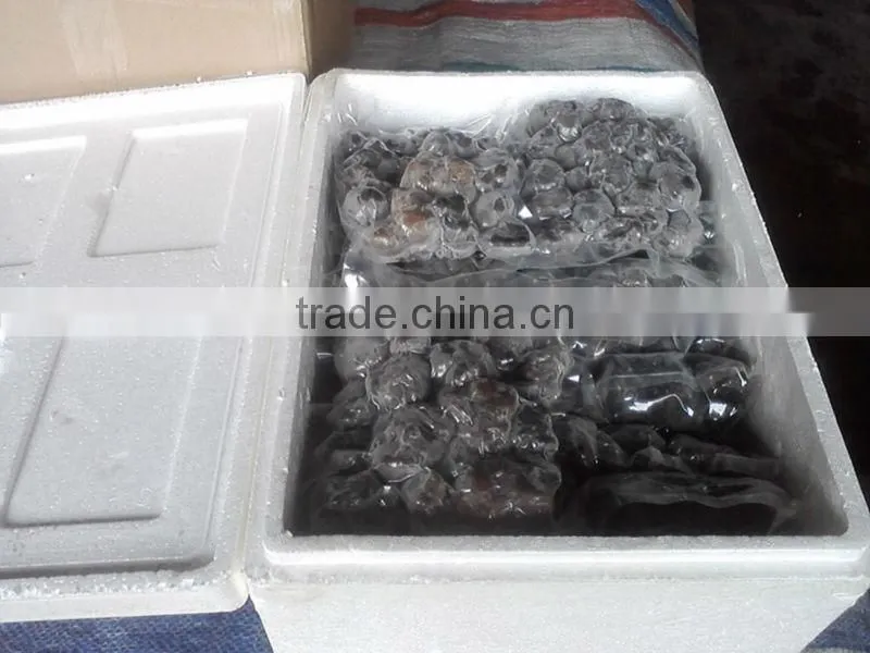 frozen whole truffle