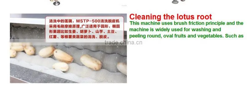 MSTP-500 Ginger Washing Machine Ginger Cleaning Machin Cassava Washing Cleaning Machine