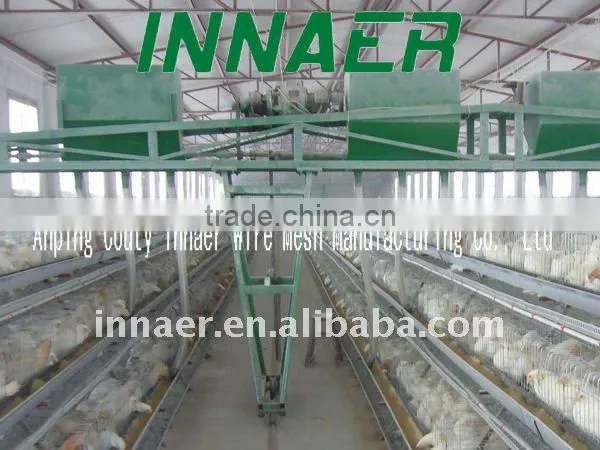 Poultry layers/broilers automatic feeding system