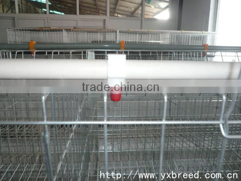 automatic chicken coop for hens