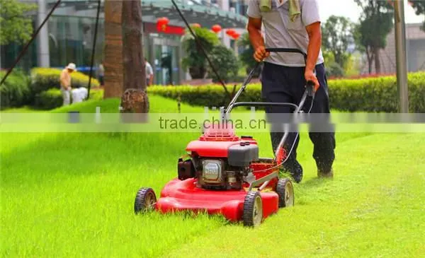 Vlais 21" Commercial Lawn Mower