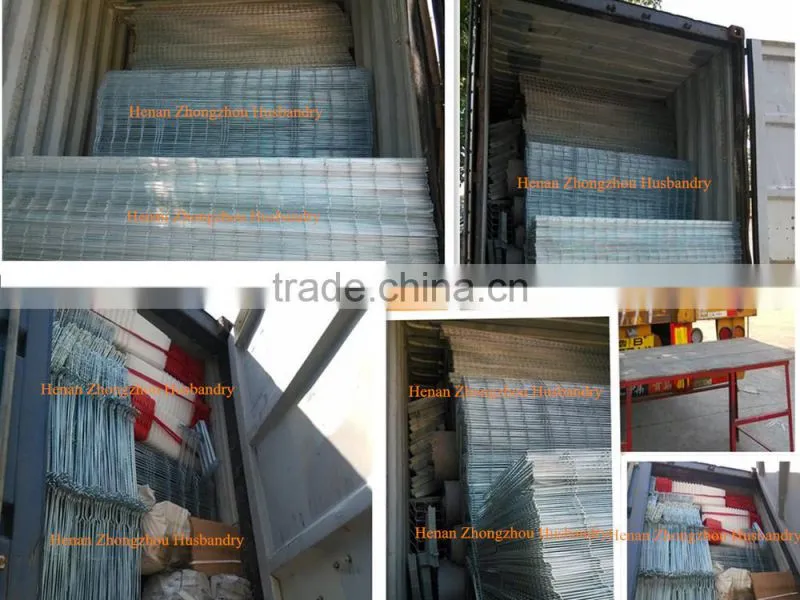 New Design Broiler Cage System