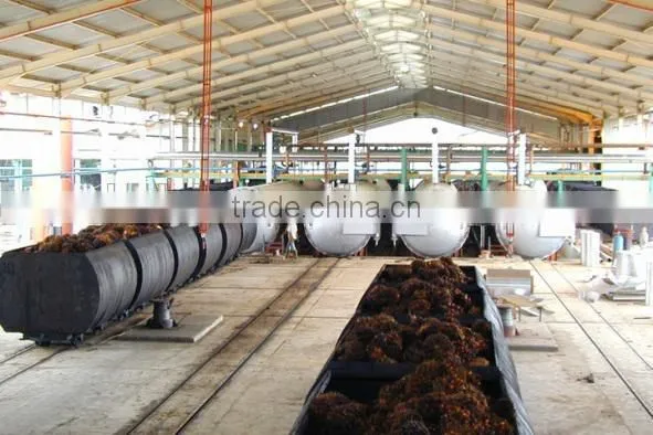 palm kernel oil processing plant, palm oil pressing machine in Indonesia