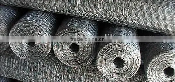 hexagonal poultry wire netting(factory price)