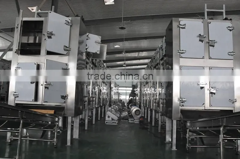 Stevia Multiple layer continuous type mesh belt dryer