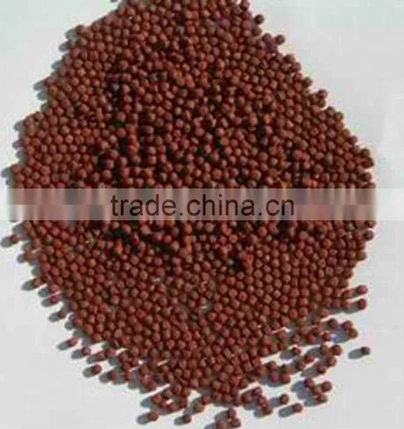 pet food/aquatic feed processing Line