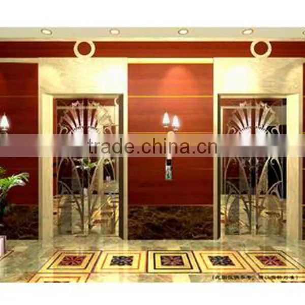 Shopping Mall Elevator Decoration Stainless Steel Elevator Door Panel on Sale