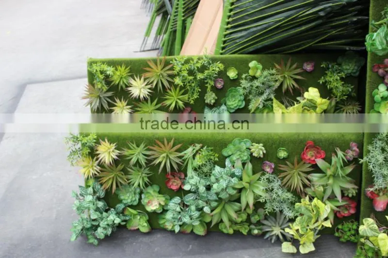 succulent plants green wall interior decoration for sale