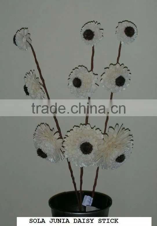 Sola Junia Daisy Stick