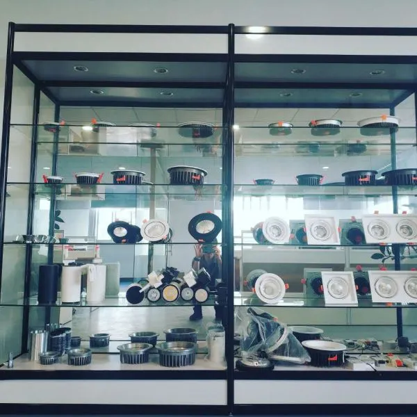 Shenzhen Lingguang Lighting Co.,Ltd company overview - view 1