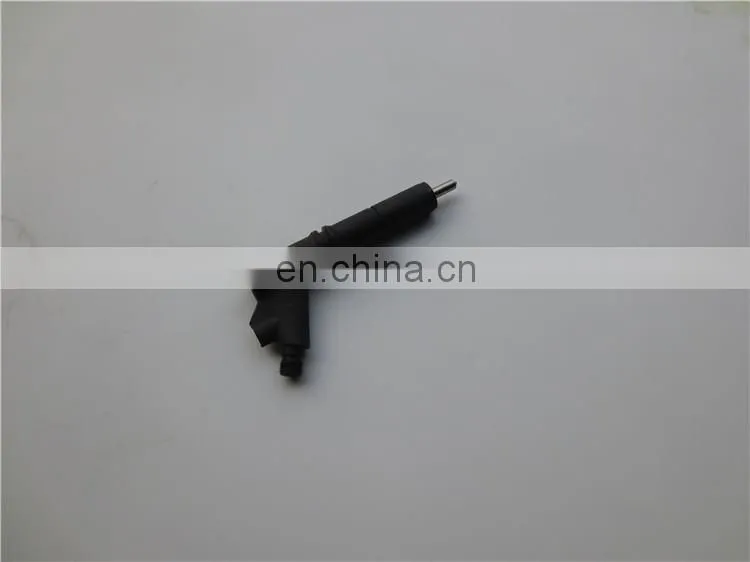 Genuine Sinotruk HOWO Truck D12 Engine Parts VG1246080036 Fuel Injector