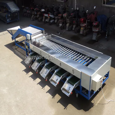 Shanghai Date Olive Size Grading Machine for Fruit & Vegetable Processing