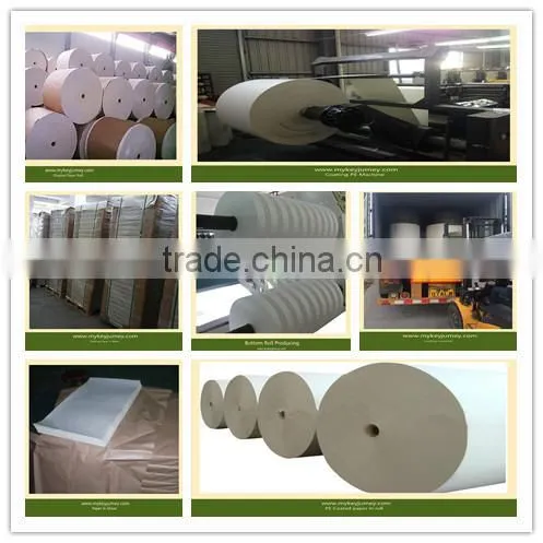 Single Sided PE Coated Paper Roll