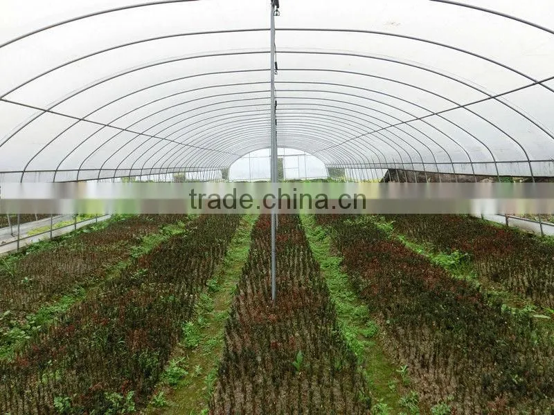 greenhouse galvanized pipe