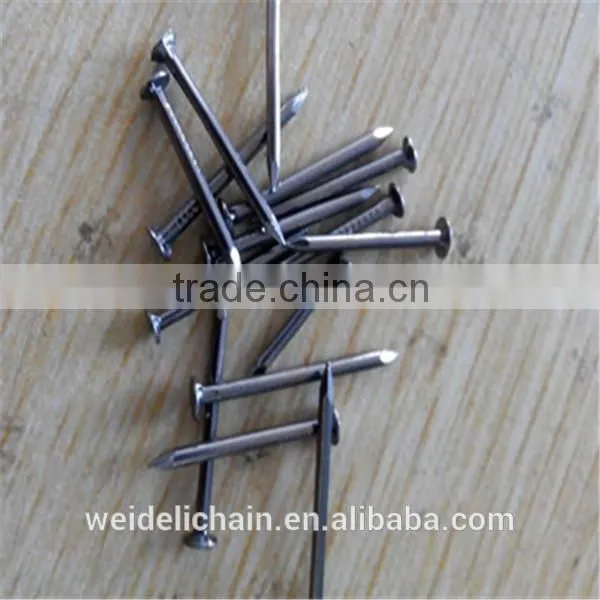 Construction Wire Nails Supplier/Wire Nail Price