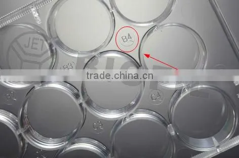 96 wells U-Bottom Tissue Culture Plates with Lid Surface Treated/Non-Treated