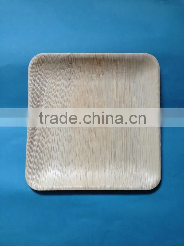 10'' palm leaf square plate