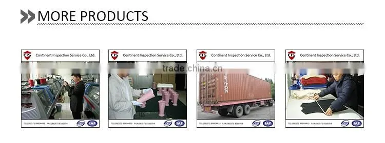 Electric product / Induction cooker inspection service / third party inspection