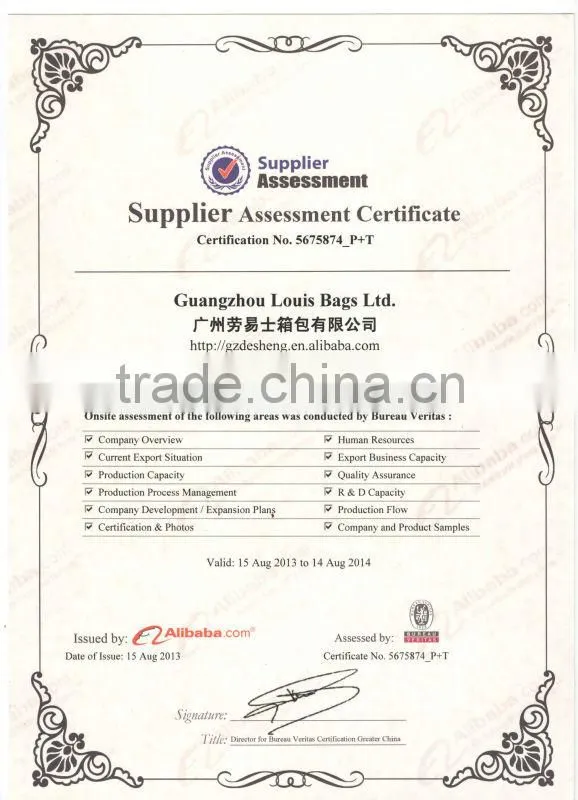 Guangzhou Louis factory insulated cooler bag for frozen food