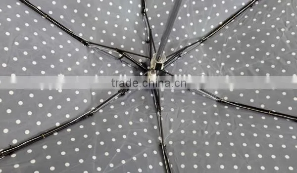 5 Fold Umbrella, Mini Folding Umbrella Windproof