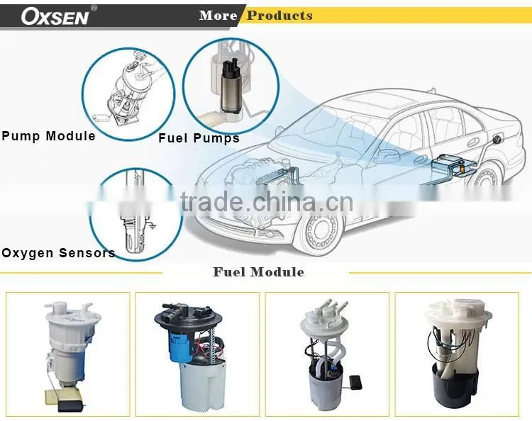 Fuel Pump Module Assembly OE:96537125 For BUICK/DAEWOO