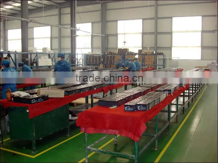 12V110Ah (6-EVFJ-110) EV Colloid Battery