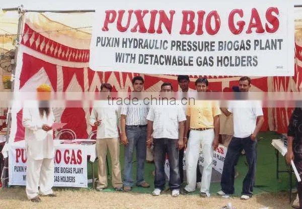 China Puxin Easy to Maintain Home Use 4m3 Hydraulic Pressure Biogas Plant