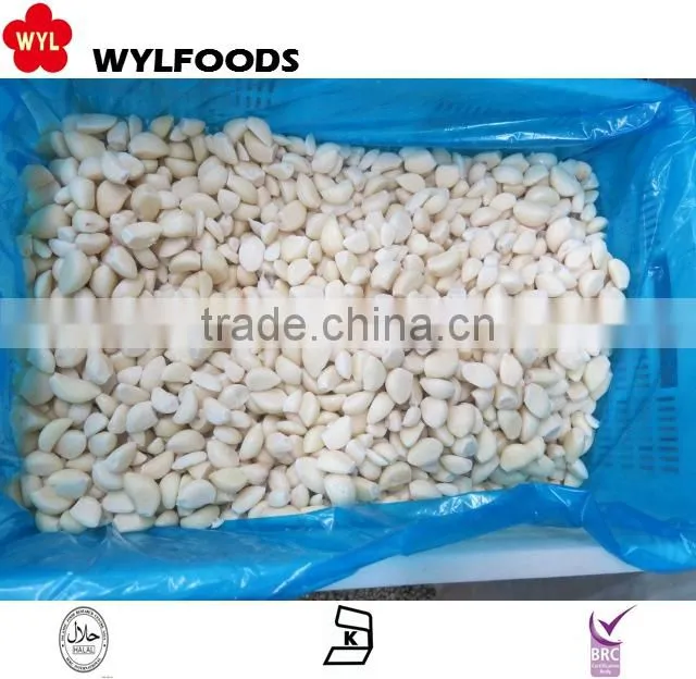 2016 Hot sale frozen shiitake mushroom with good price