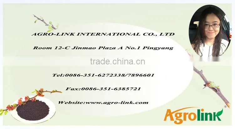 Calcium Ammonium Nitrate Granular Water Soluble Nitrogen Fertilizer(CaO26% &N15.5%)