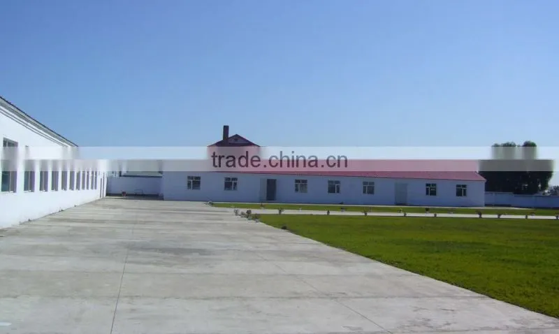 Poultry Processing Profession Automatic Poultry Equipment Price