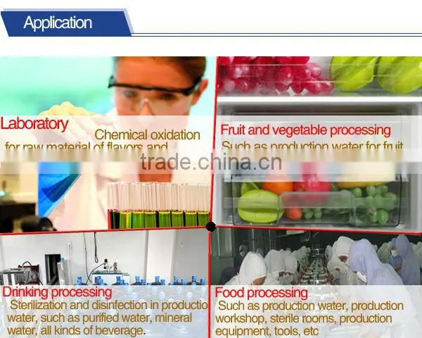 2013 hot sales 2g to 6g Desktop Medical Ozone Generator For Hospital Or Lab