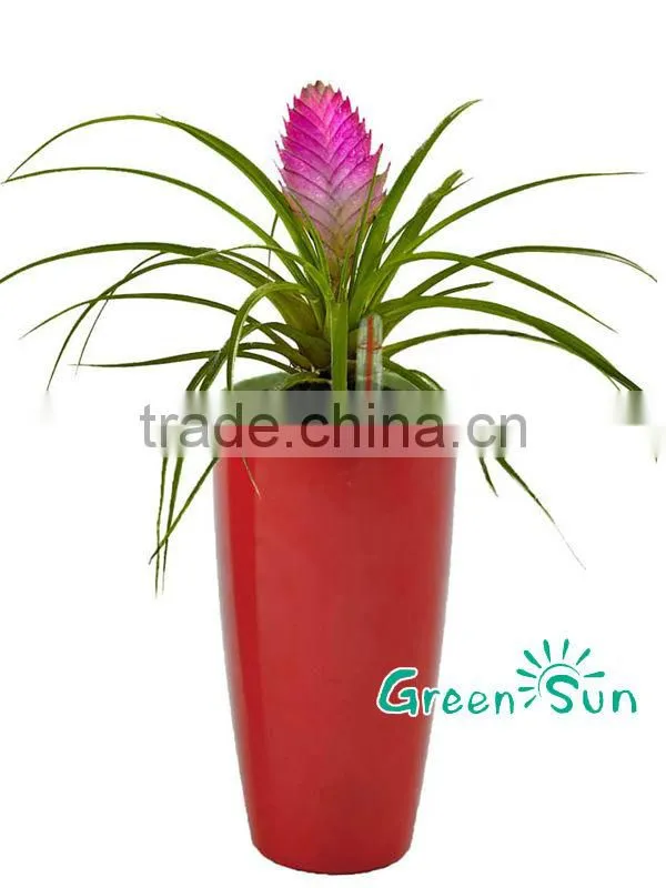 Modern Small Flower Pots For Crafts