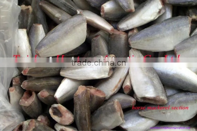 cheap horse mackerel (big size) fillet